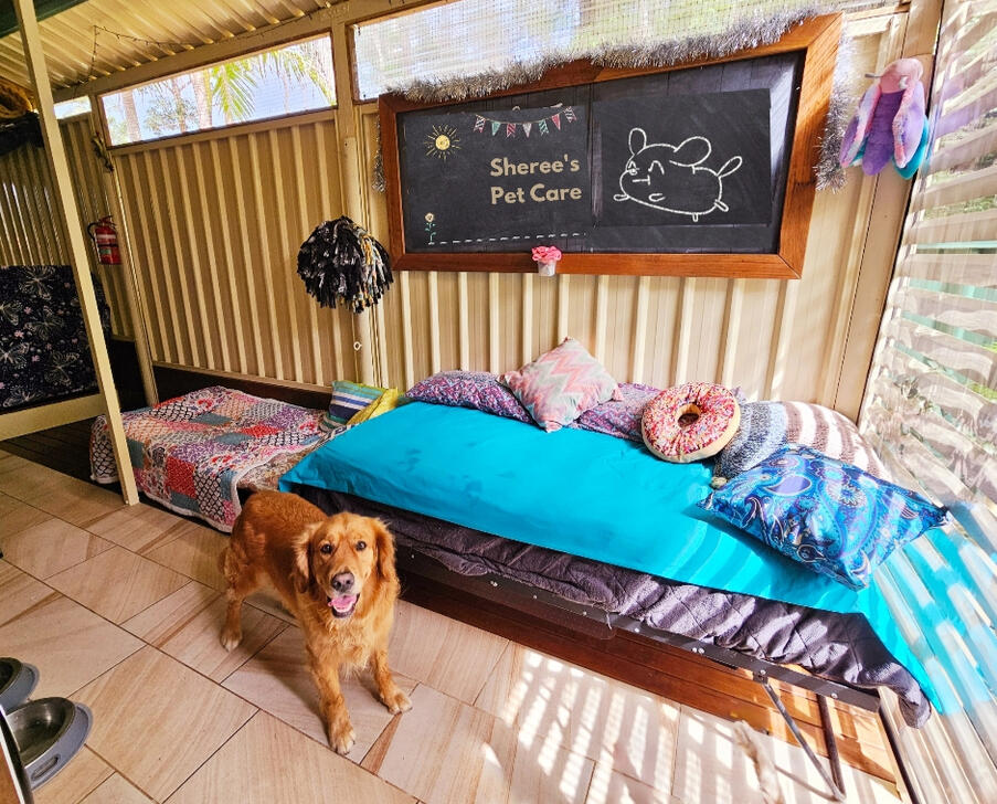 Golden Retriever in front of single bed Golden Retriever in front of single bed